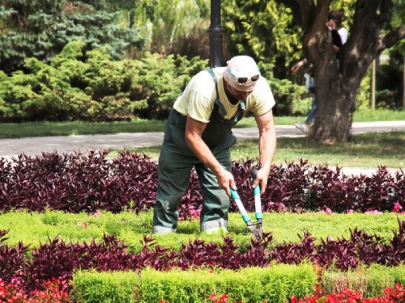 jardineros jardineros